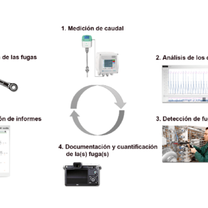Proceso para la detección continua o reparación de fugas