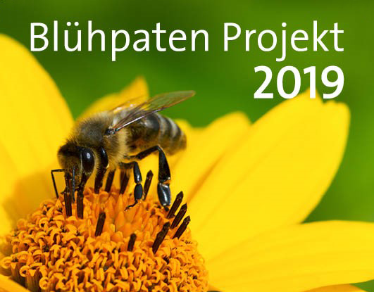 CS Instruments denkt nachhaltig und übernimmt Blühpatenschaft für heimische Bienen